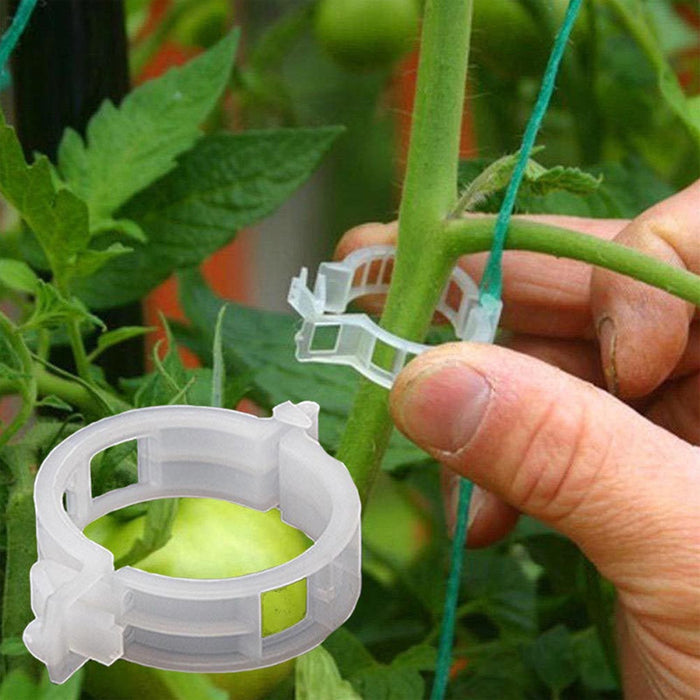 Clips de soporte para plantas