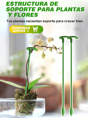 Soporte fijo anti-enredaderas para plantas trepadoras