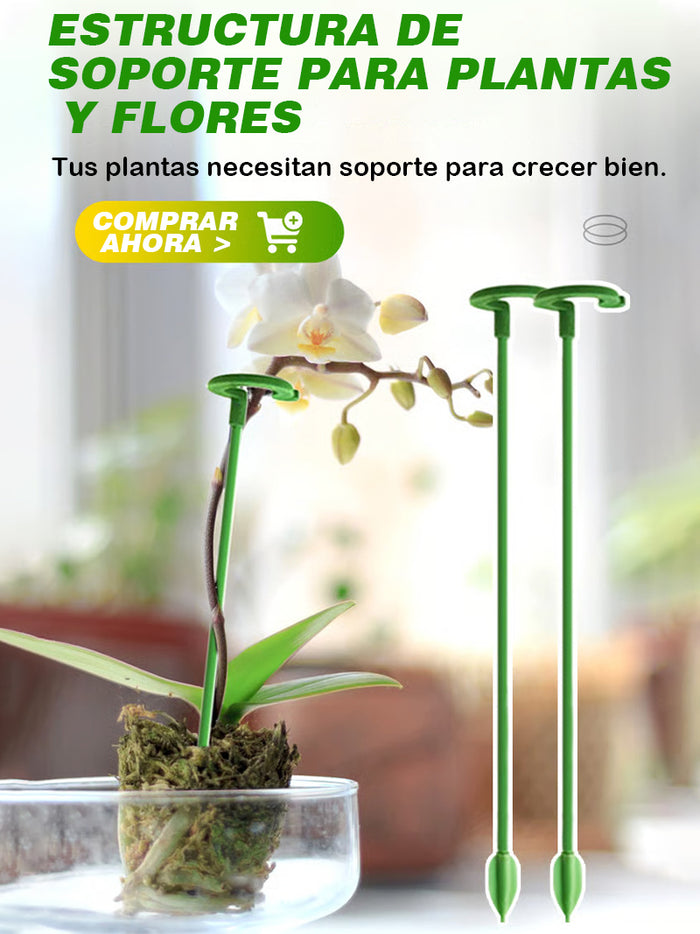 Soporte fijo anti-enredaderas para plantas trepadoras