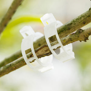 Clips de soporte para plantas