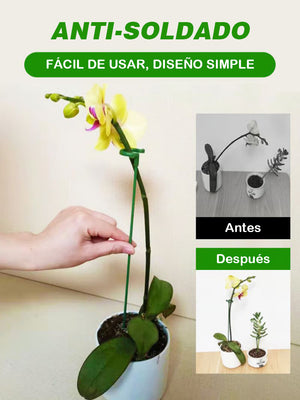 Soporte fijo anti-enredaderas para plantas trepadoras
