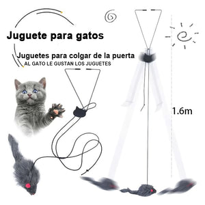 Juguete interactivo para gatos que rebota en la puerta