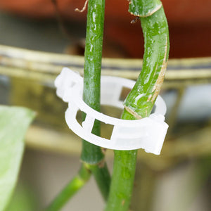 Clips de soporte para plantas