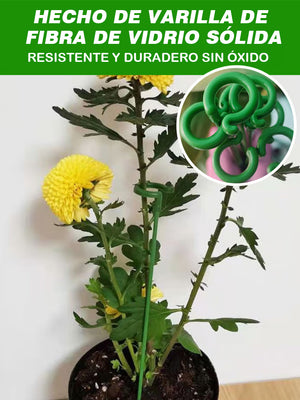 Soporte fijo anti-enredaderas para plantas trepadoras