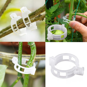 Clips de soporte para plantas