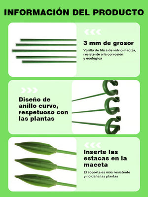 Soporte fijo anti-enredaderas para plantas trepadoras