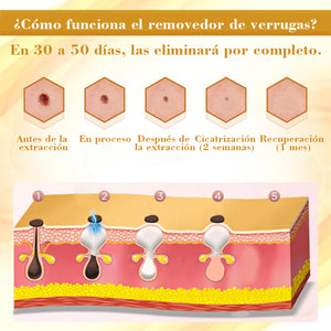 Crema reparadora de la piel Condense Mellifera Venom