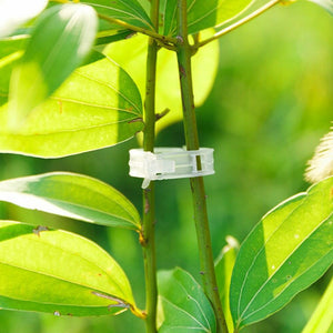 Clips de soporte para plantas