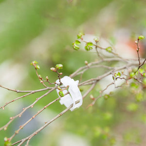 Clips de soporte para plantas