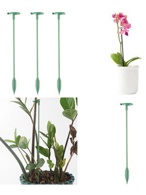Soporte fijo anti-enredaderas para plantas trepadoras
