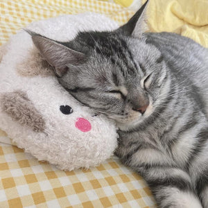 Almohada acogedora para gatos