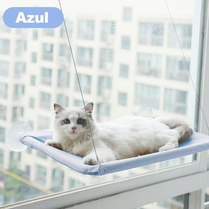 La Hamaca para Gatos Montada en la Ventana