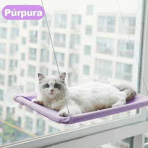 La Hamaca para Gatos Montada en la Ventana