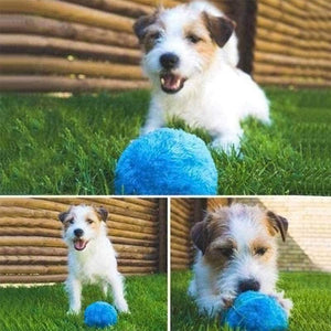 Juguete de Pelota Eléctrica para Mascotas