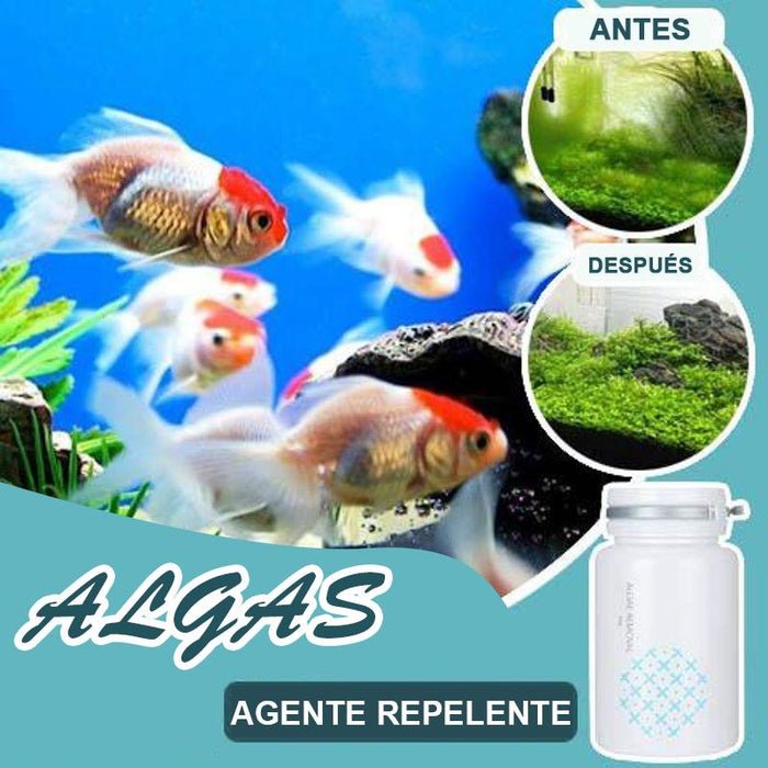 Agentes Anti-algas