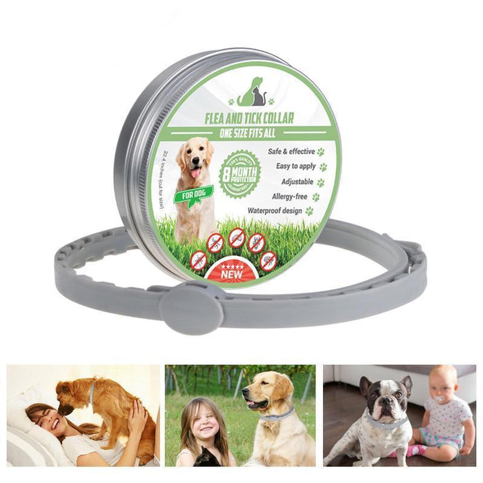 Collar de Protección Contra Pulgas para Mascota