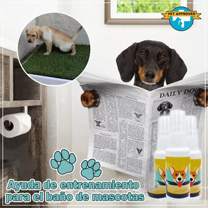 Asistente de entrenamiento para ir al baño de mascotas