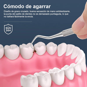 Herramientas de limpieza de dientes de acero inoxidable con funda de soporte
