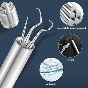 Herramientas de limpieza de dientes de acero inoxidable con funda de soporte