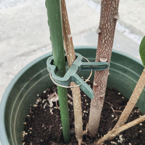 Pinzas Reutilizables de Agarre de Lazo de Palanca de Flor de Jardín