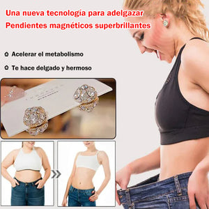 Pendientes magnéticos superbrillantes