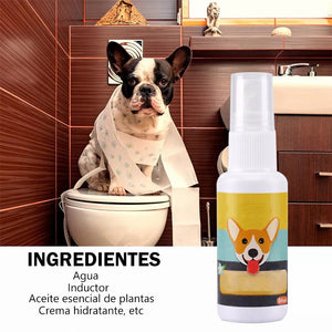 Asistente de entrenamiento para ir al baño de mascotas