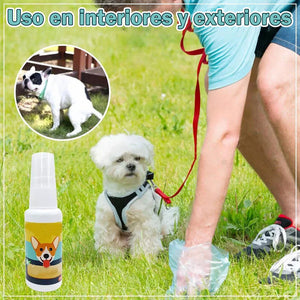 Asistente de entrenamiento para ir al baño de mascotas