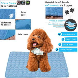 Estera Fresca para Mascotas