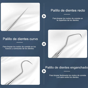 Herramientas de limpieza de dientes de acero inoxidable con funda de soporte
