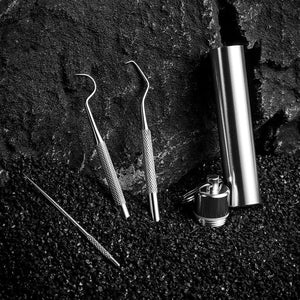 Herramientas de limpieza de dientes de acero inoxidable con funda de soporte