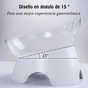 Tazón de Alimentación para Gatos (Individual / Doble)