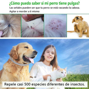 Collar de Protección Contra Pulgas para Mascota