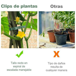 Pinzas Reutilizables de Agarre de Lazo de Palanca de Flor de Jardín