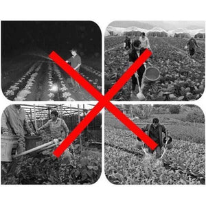 Boquillas de Atomizador de Agricultura