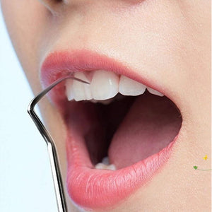Herramientas de limpieza de dientes de acero inoxidable con funda de soporte