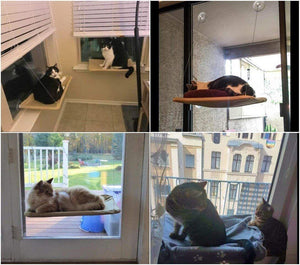 La Hamaca para Gatos Montada en la Ventana