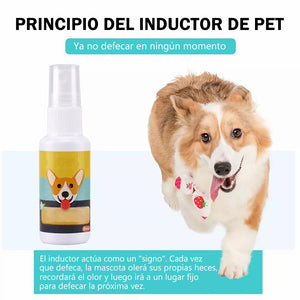 Asistente de entrenamiento para ir al baño de mascotas