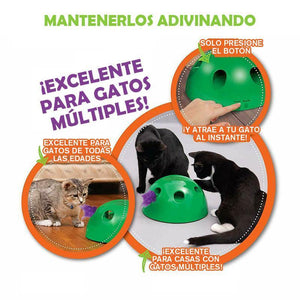 Juguete para Gatos