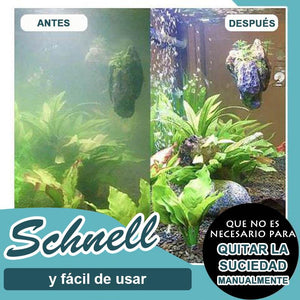 Agentes Anti-algas