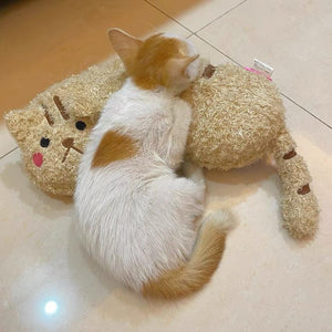 Almohada acogedora para gatos