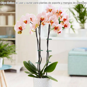 Pinzas Reutilizables de Agarre de Lazo de Palanca de Flor de Jardín