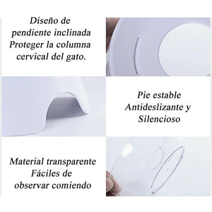 Tazón de Alimentación para Gatos (Individual / Doble)