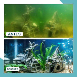 Agentes Anti-algas