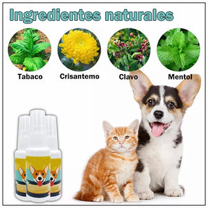 Asistente de entrenamiento para ir al baño de mascotas
