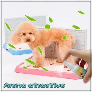 Asistente de entrenamiento para ir al baño de mascotas