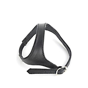 Correas de Talón de Zapato Instantáneo