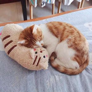Almohada acogedora para gatos